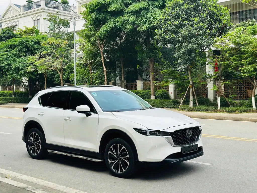 Hình ảnh số 2