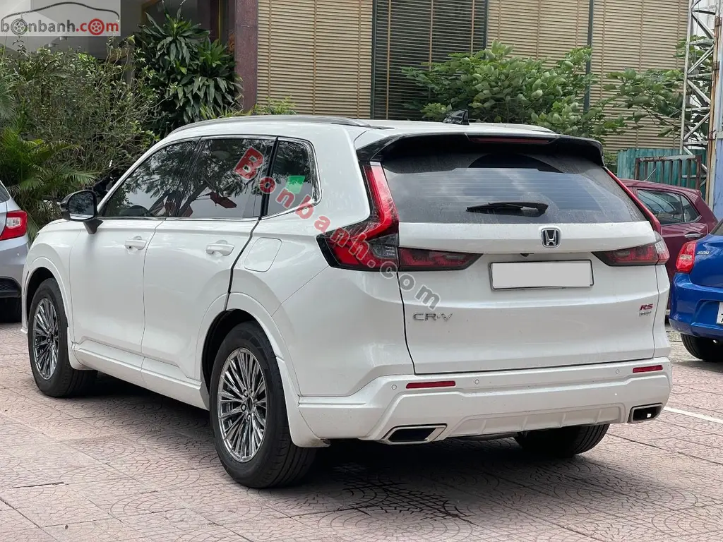 Hình ảnh số 5