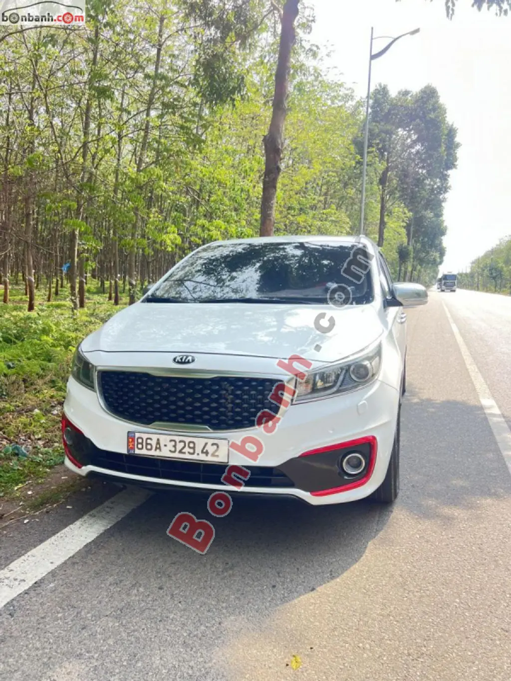 Hình ảnh số 2