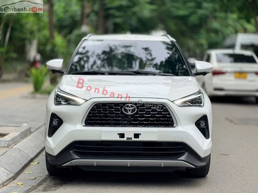 Hình ảnh số 2