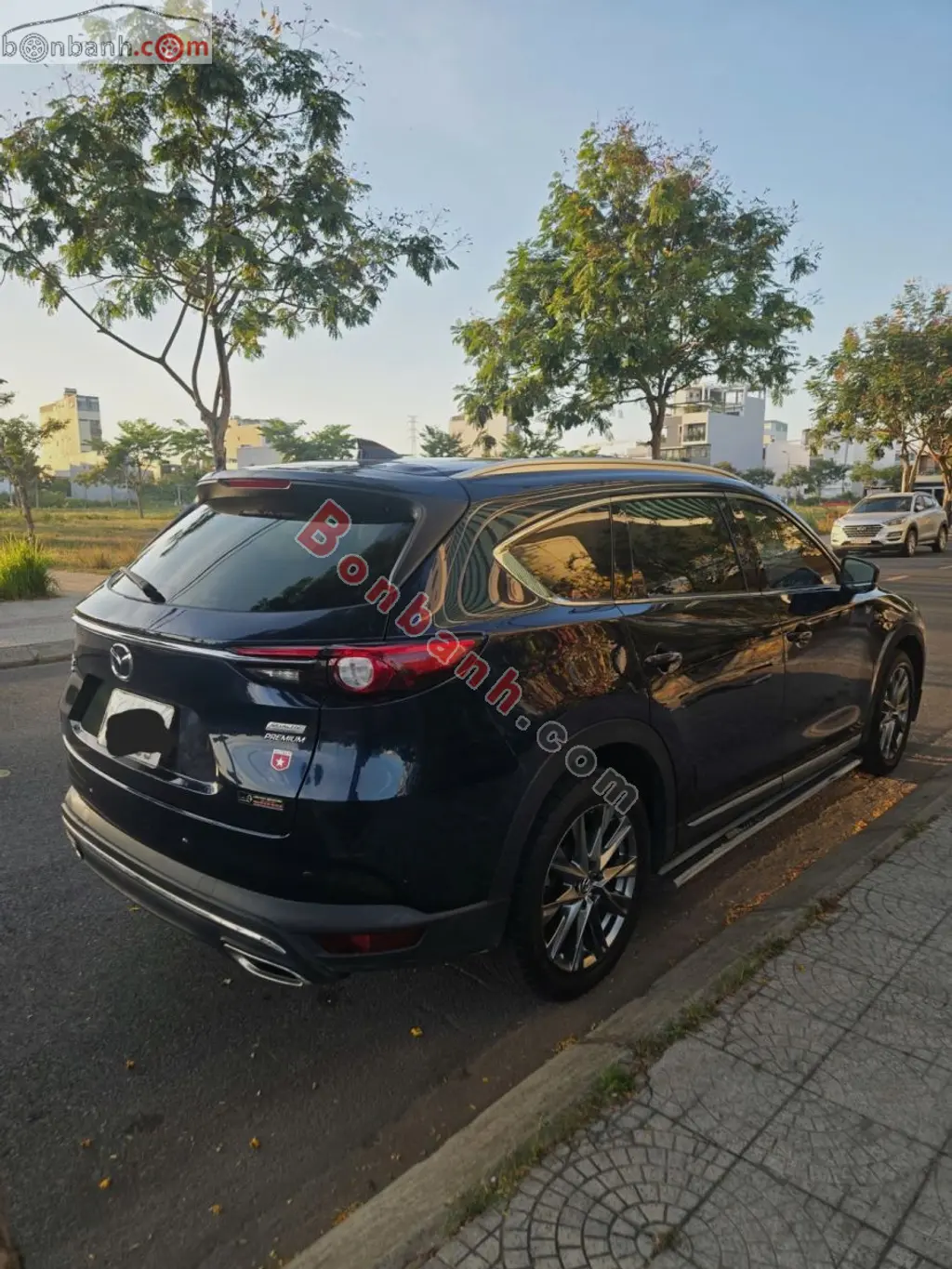 Hình ảnh số 2