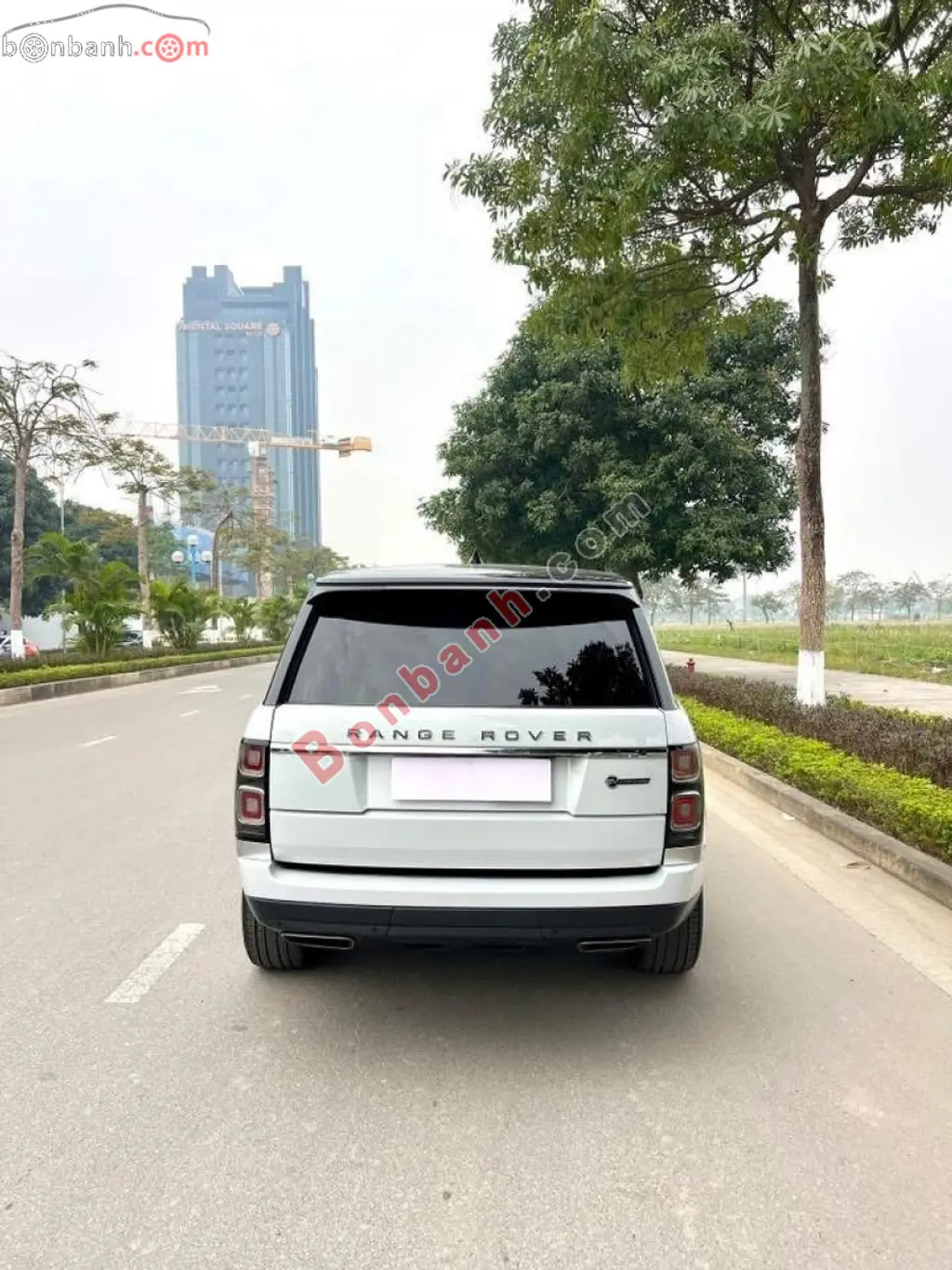 Hình ảnh số 5