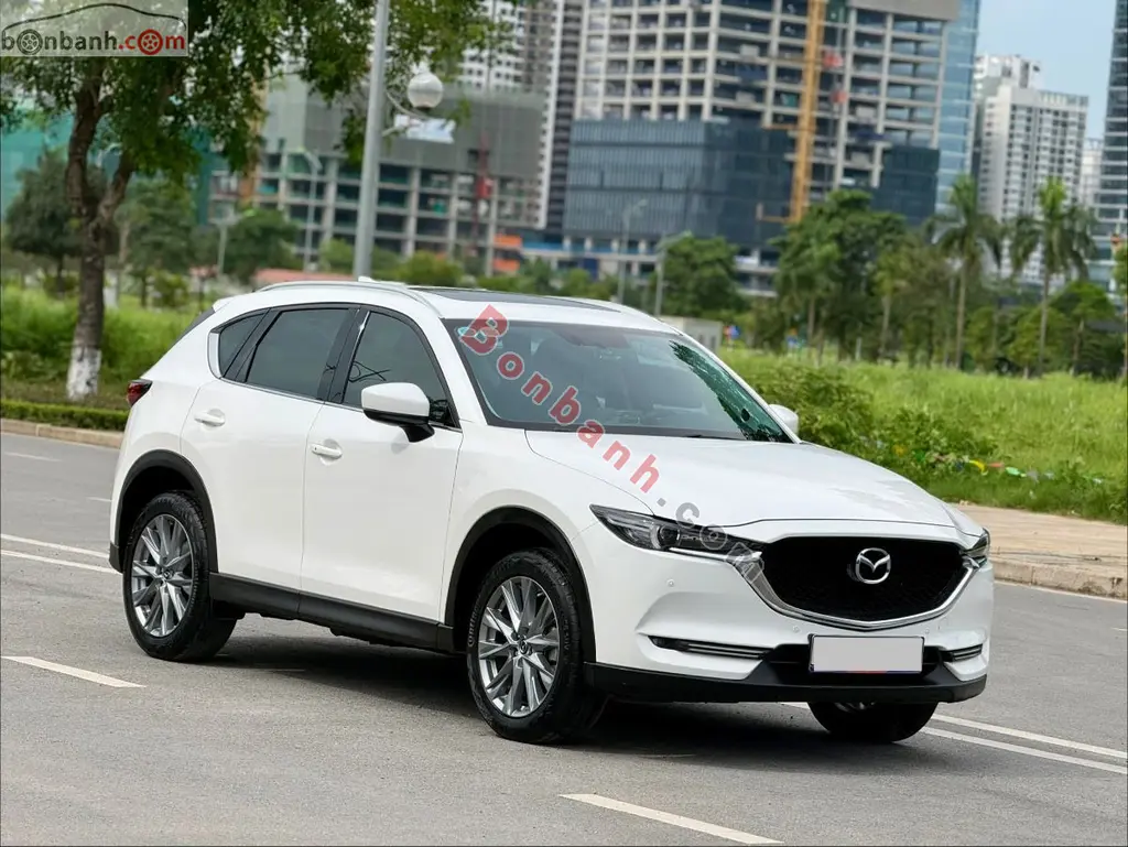 Hình ảnh số 2