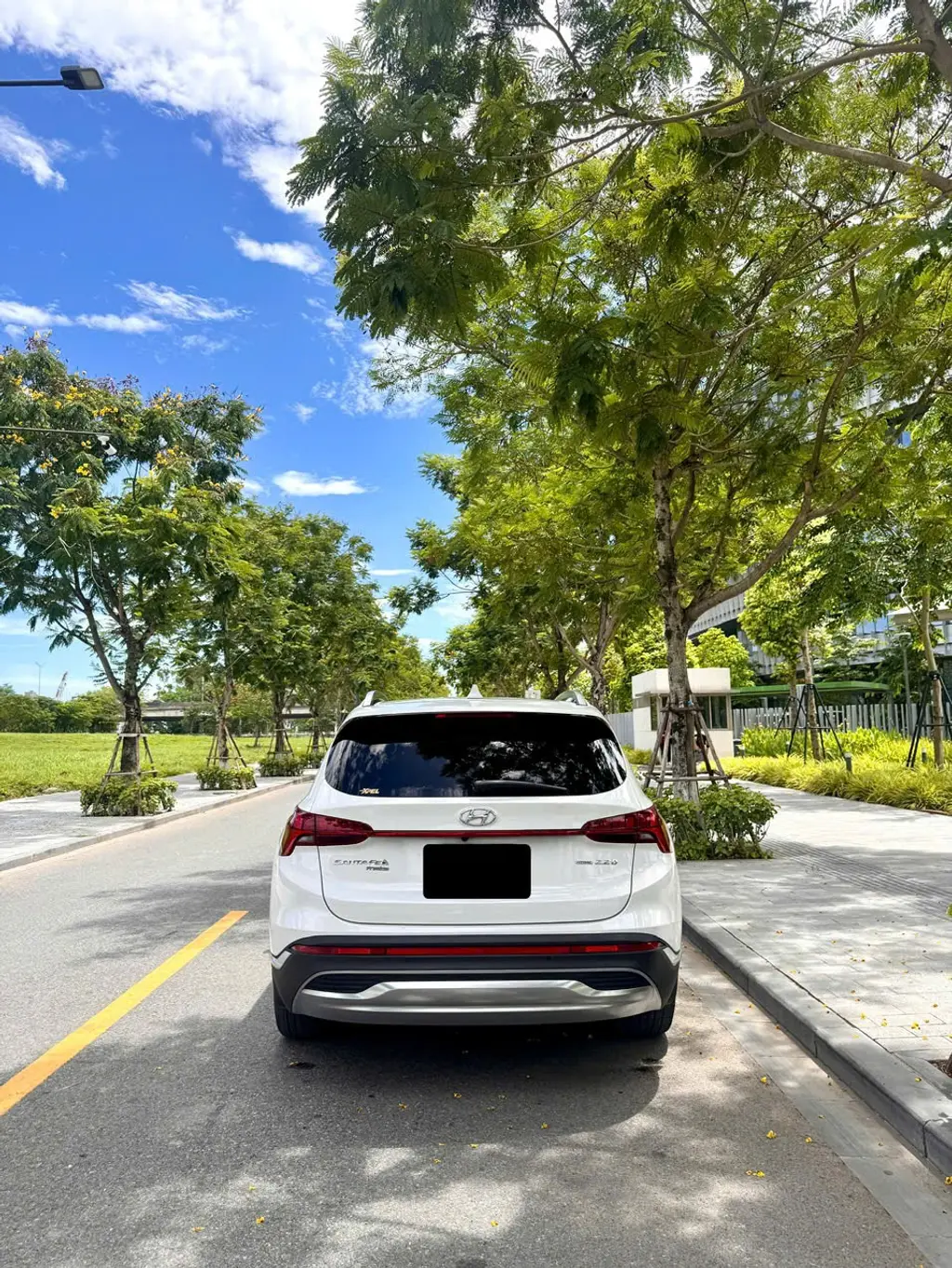 Hình ảnh số 11