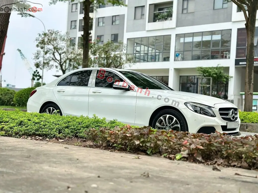 Hình ảnh số 3