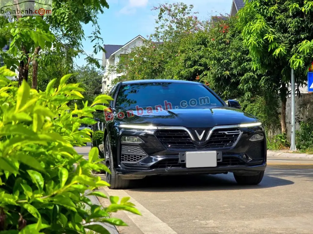 Hình ảnh số 2