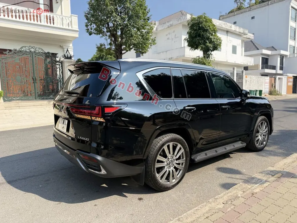 Hình ảnh số 2