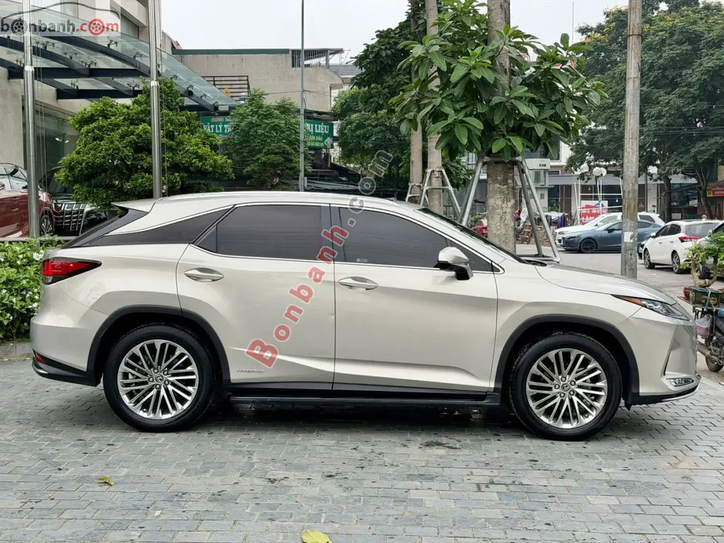 Hình ảnh số 3