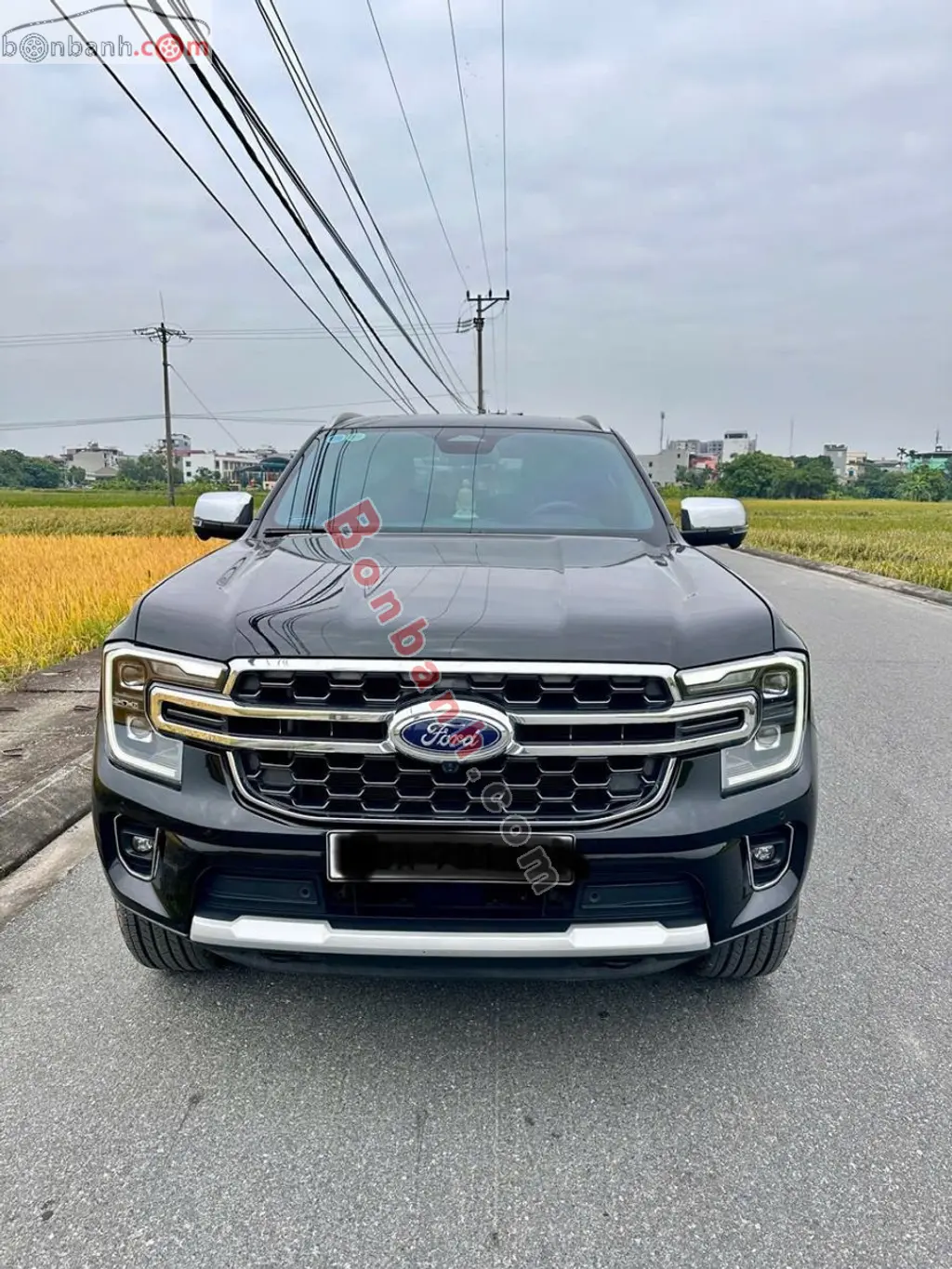 Hình ảnh số 2