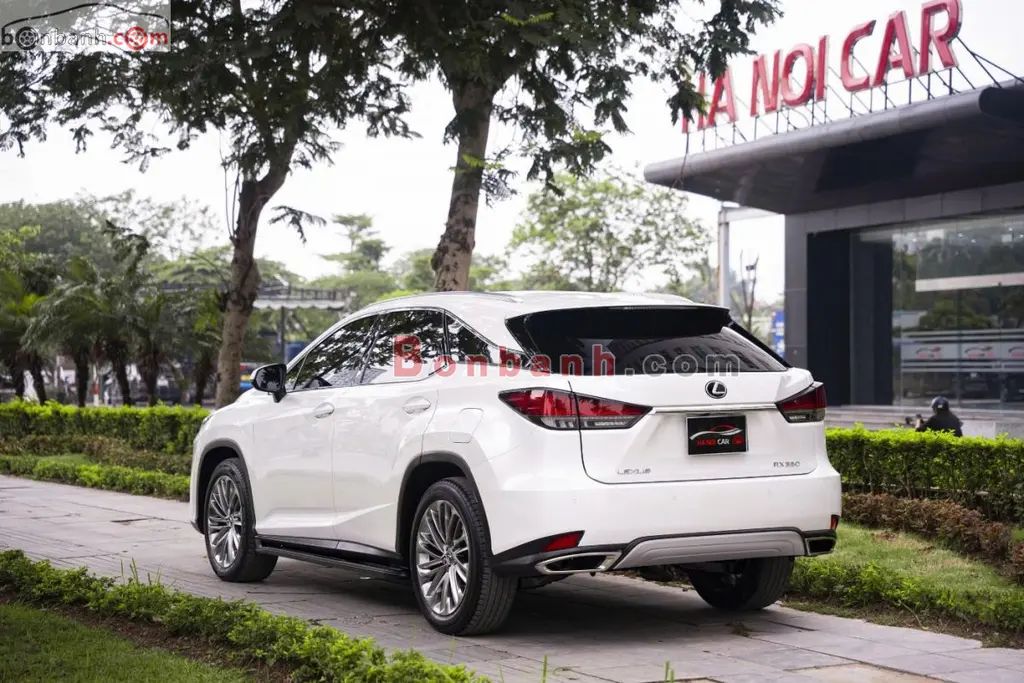 Hình ảnh số 3