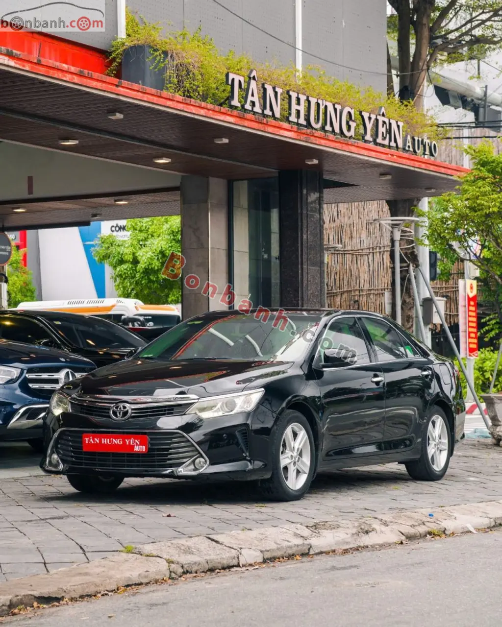 Hình ảnh số 2