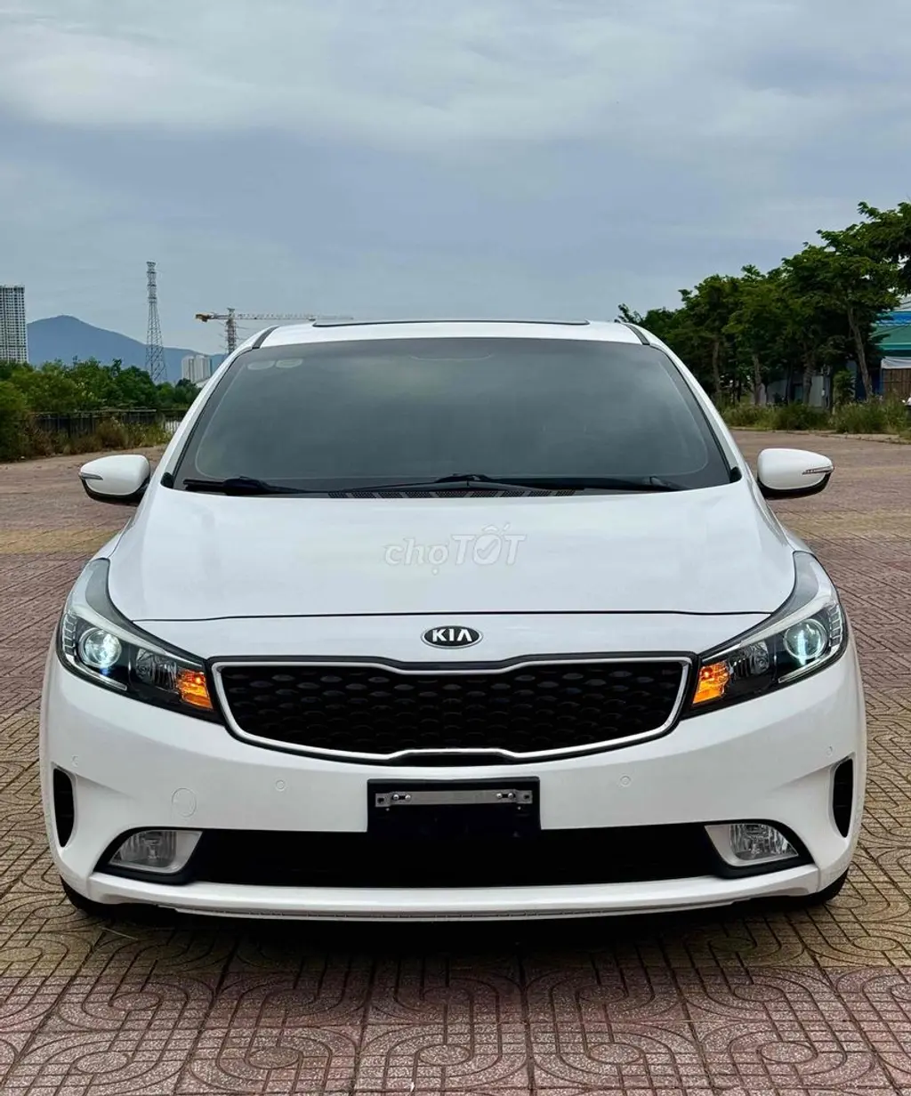 Hình ảnh số 2