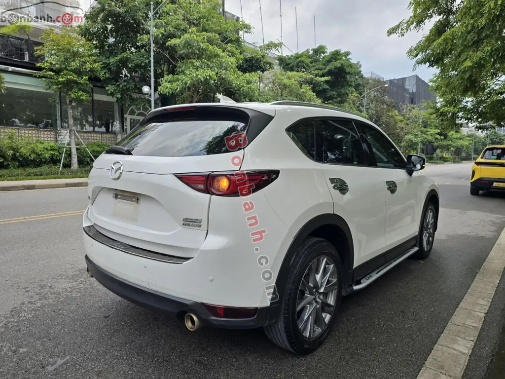 Hình ảnh số 5