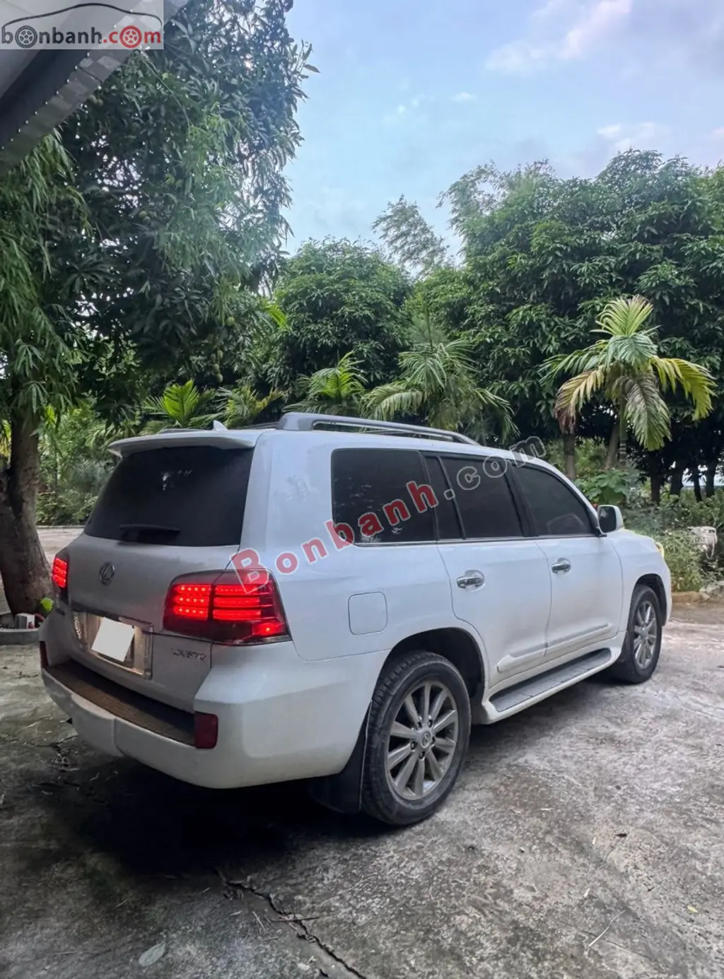 Hình ảnh số 3