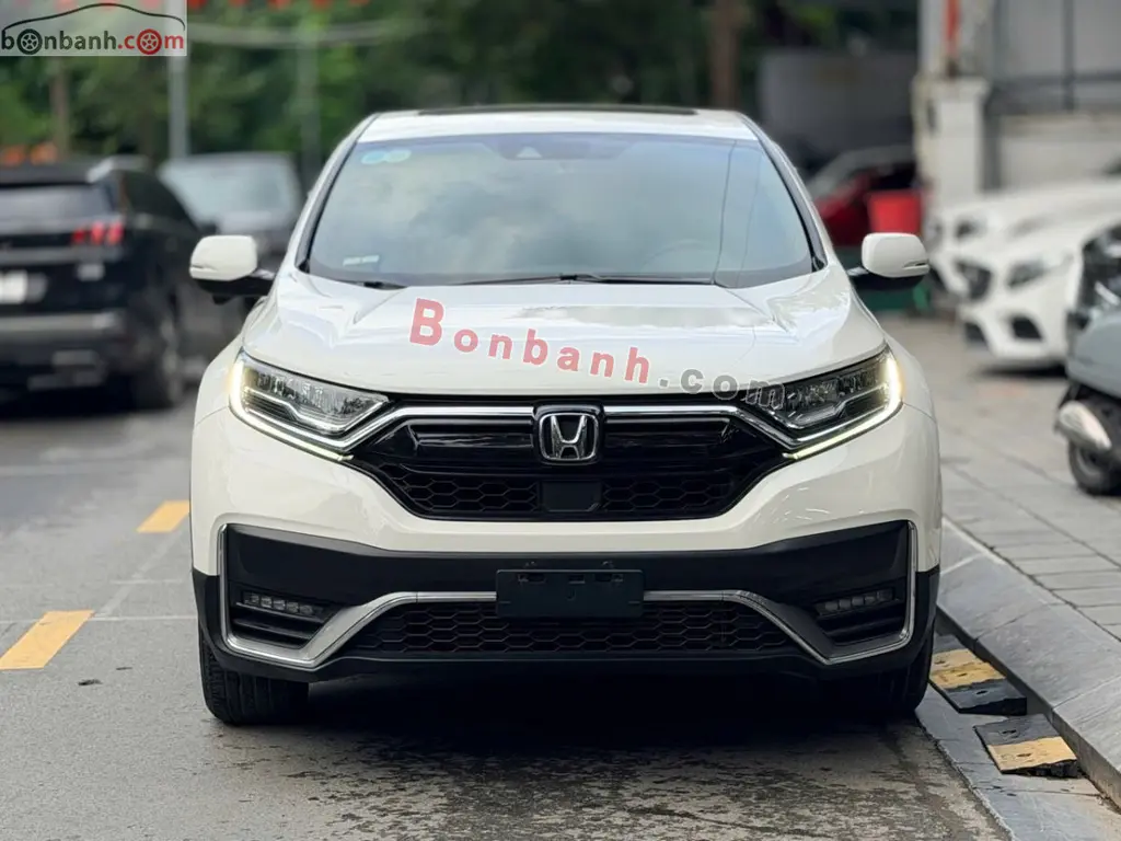 Hình ảnh số 2