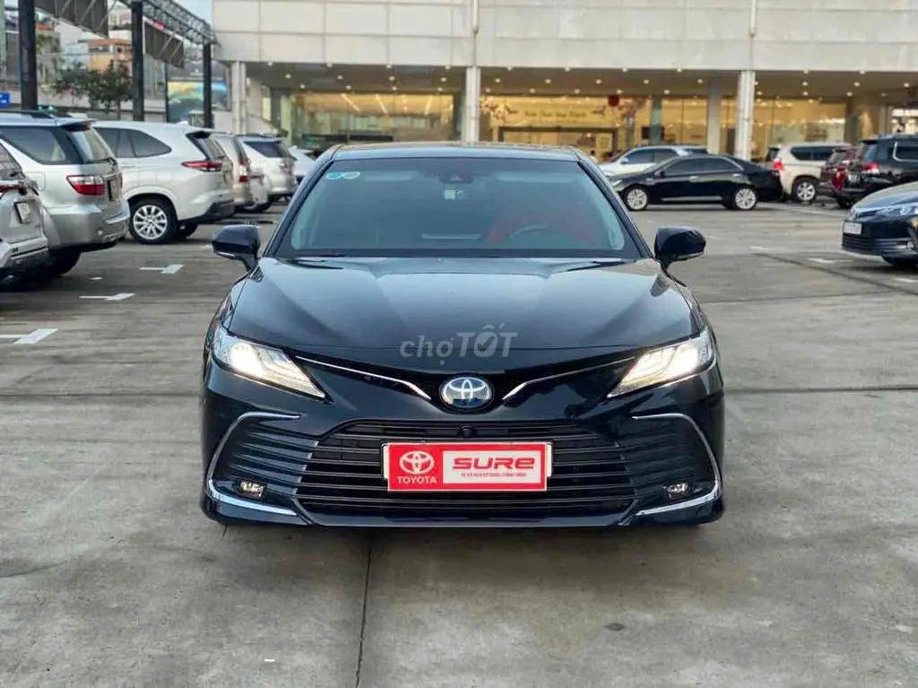 Hình ảnh số 2