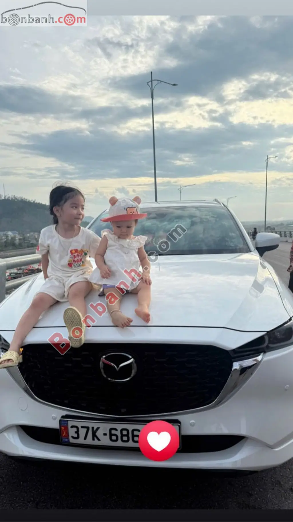 Hình ảnh số 2