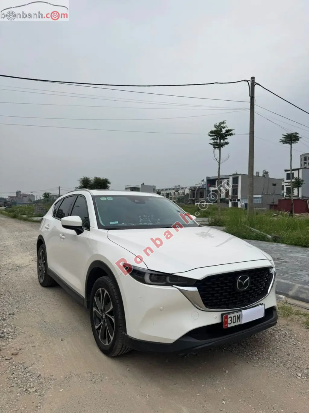 Hình ảnh số 2