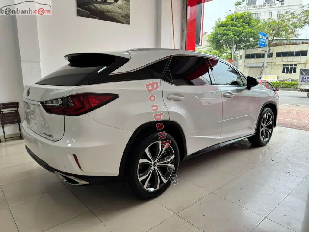 Hình ảnh số 5