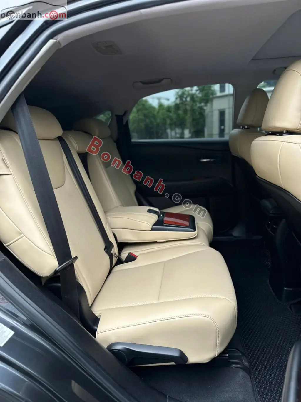 Hình ảnh số 10