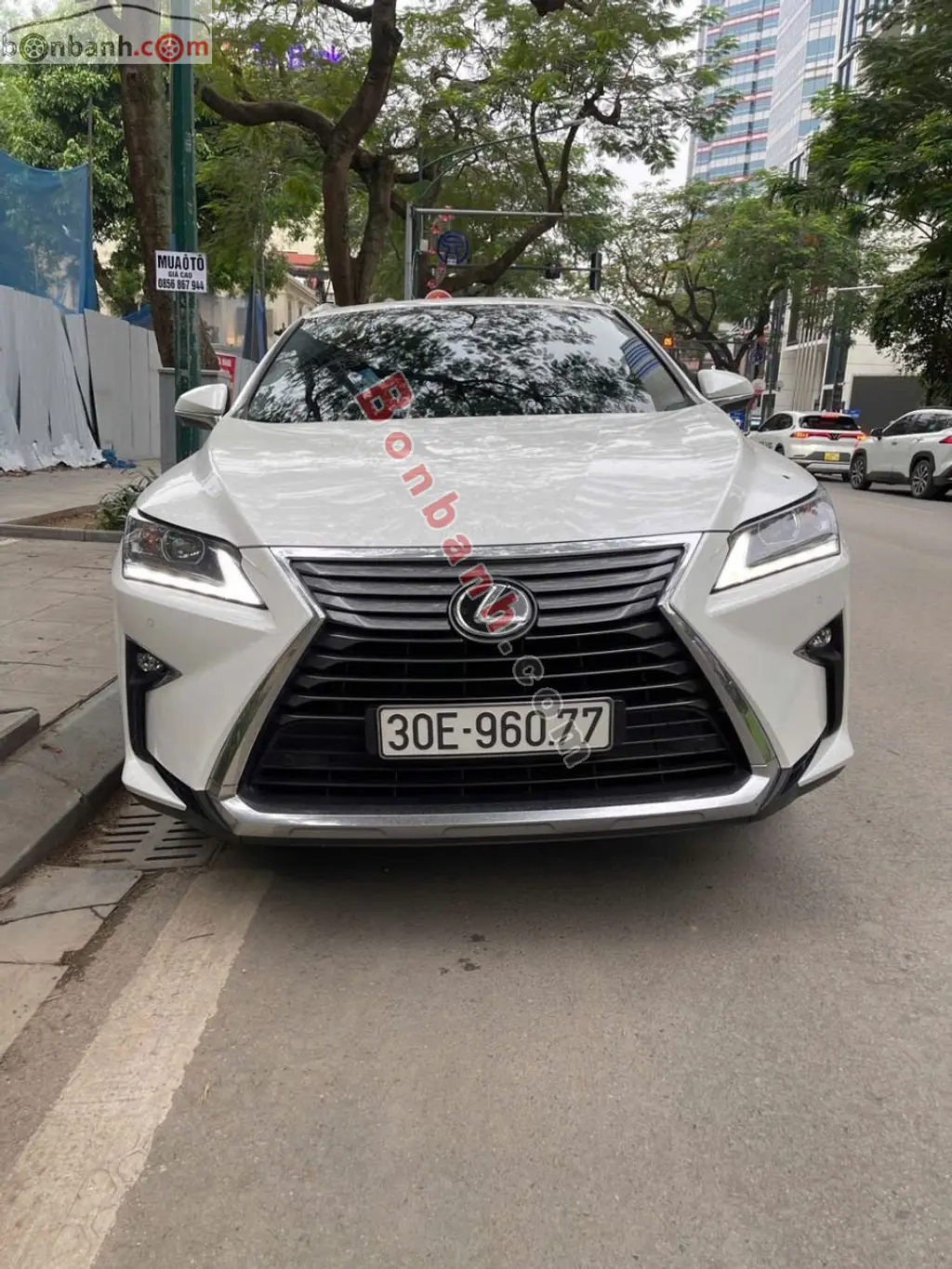 Hình ảnh số 3