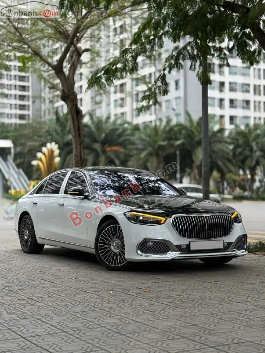 Hình ảnh số 2