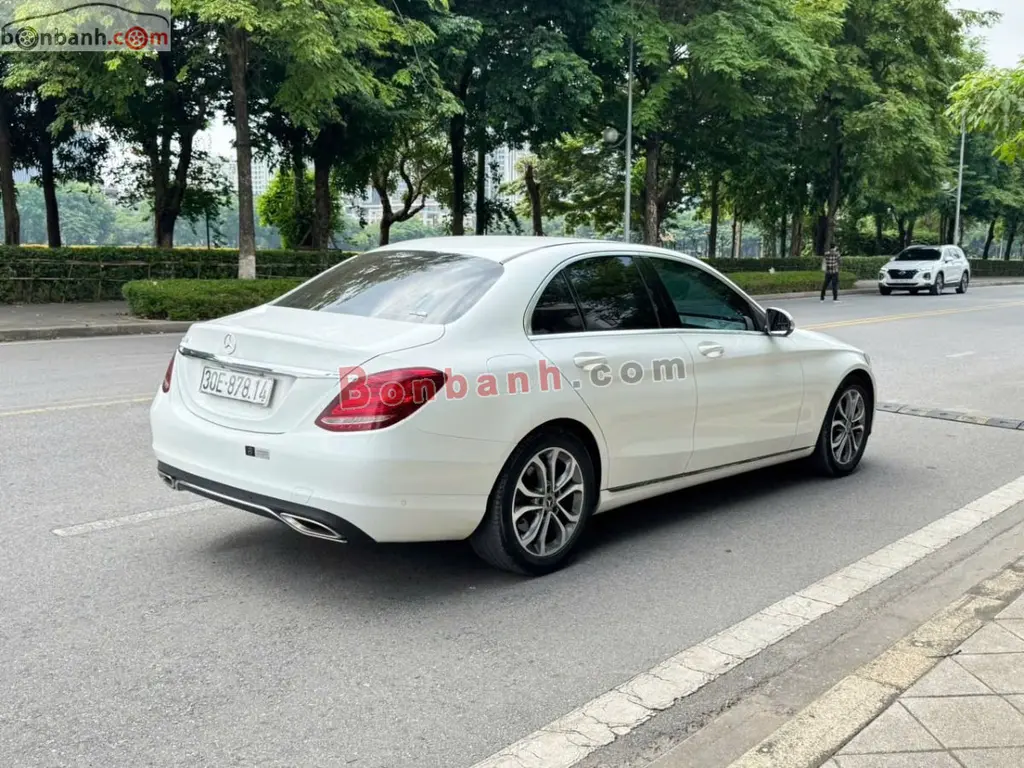 Hình ảnh số 3