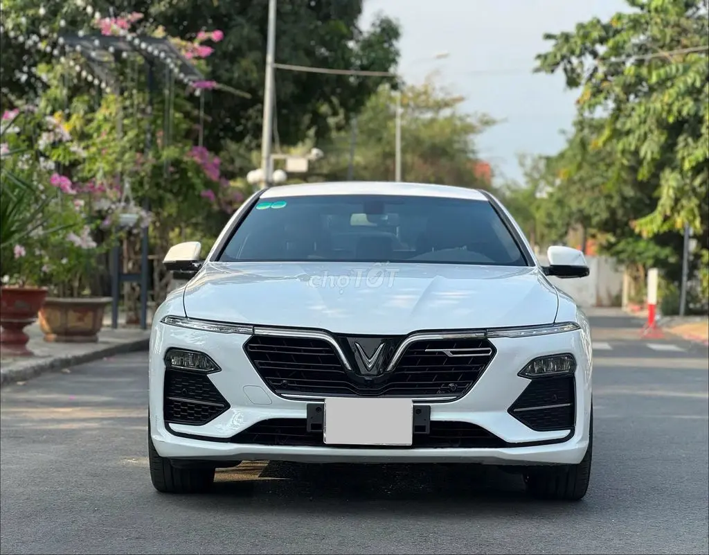 Hình ảnh số 2