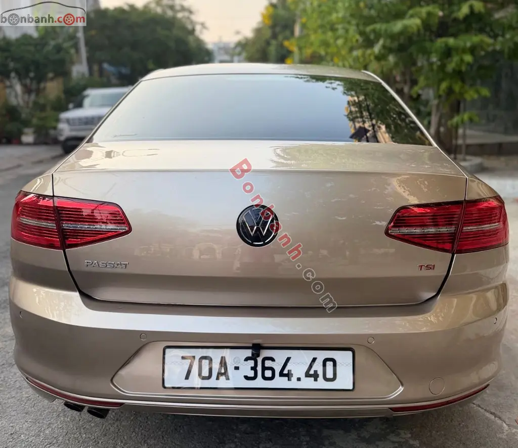 Hình ảnh số 10