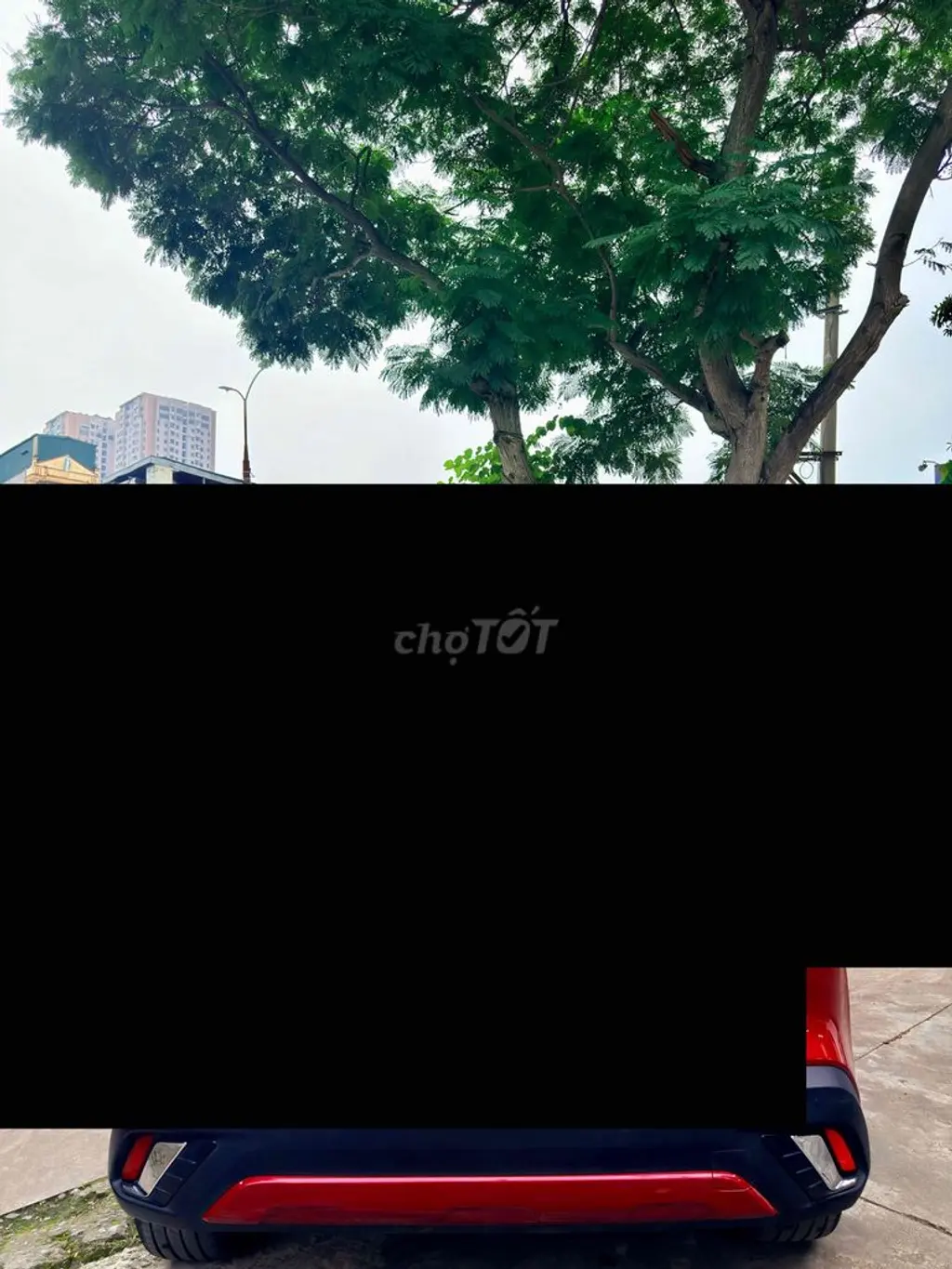 Hình ảnh số 2