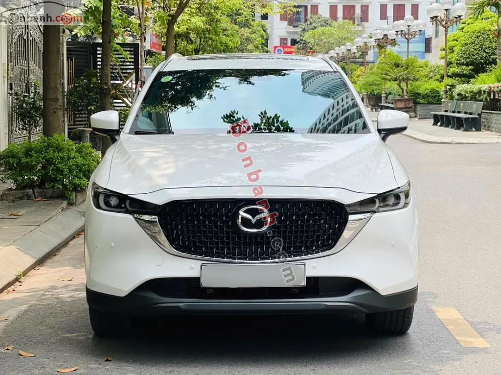 Hình ảnh số 2