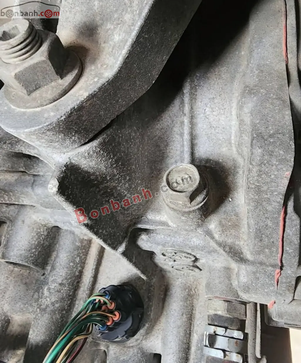 Hình ảnh số 8