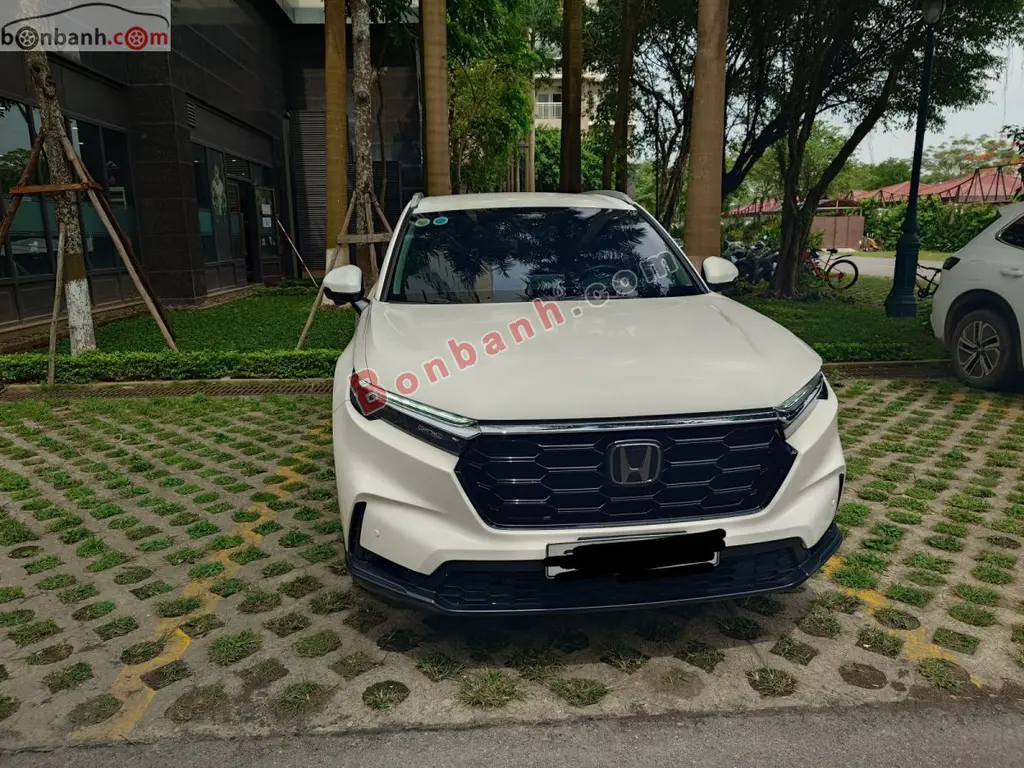 Hình ảnh số 2