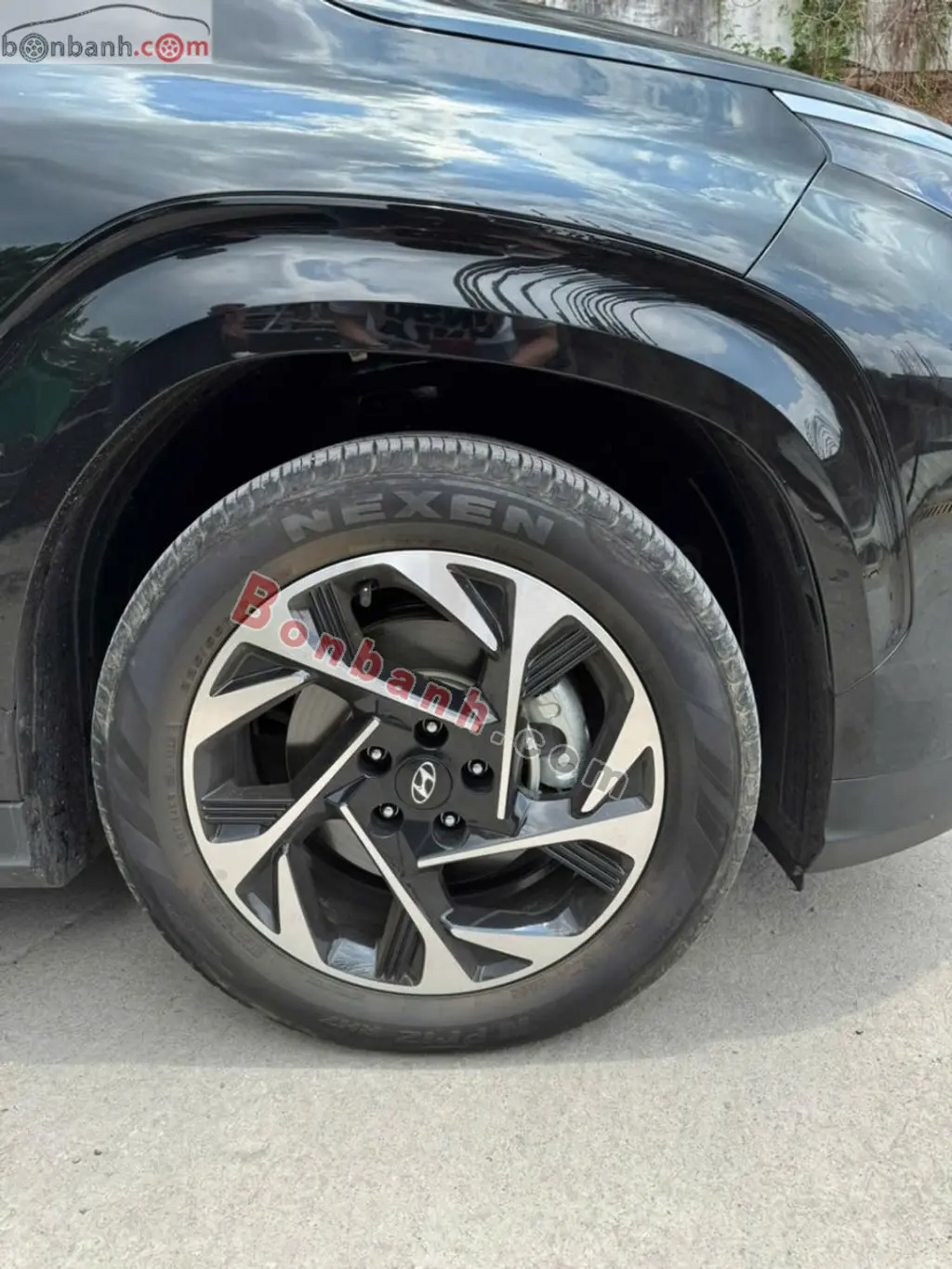 Hình ảnh số 10
