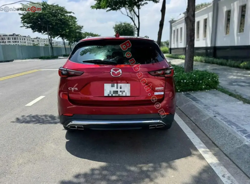 Hình ảnh số 4