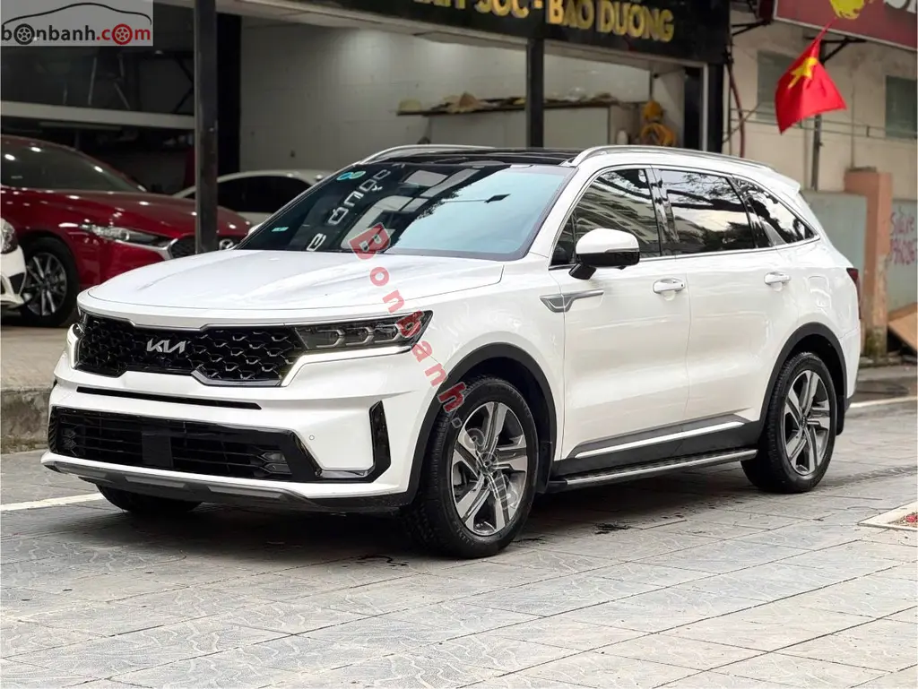 Hình ảnh số 2