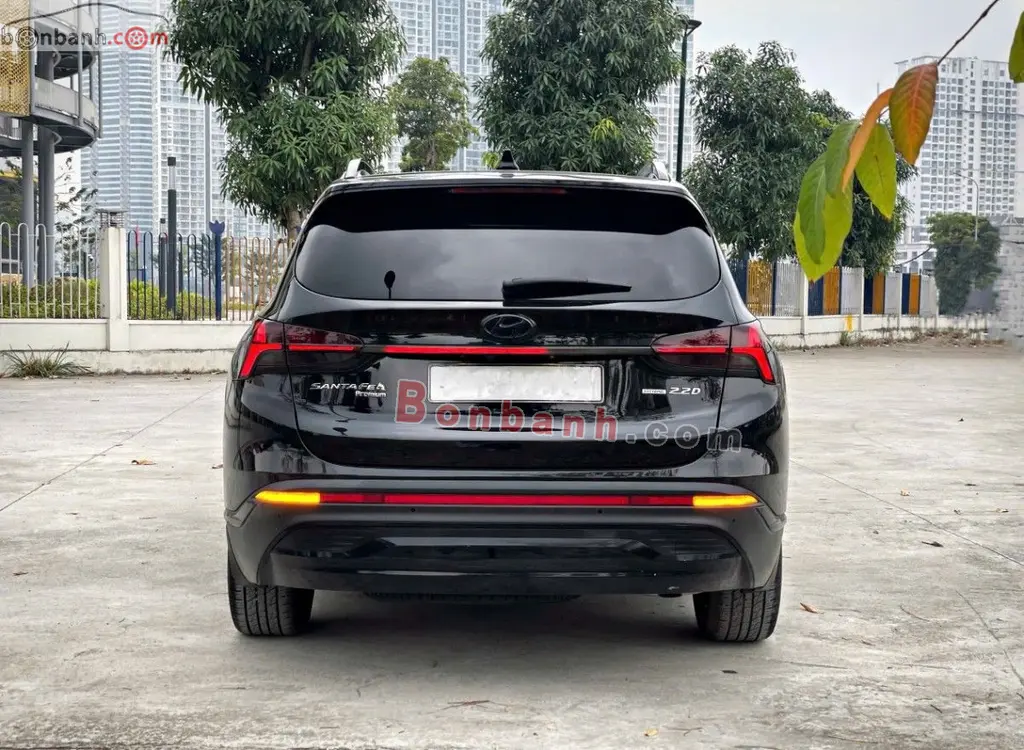 Hình ảnh số 2