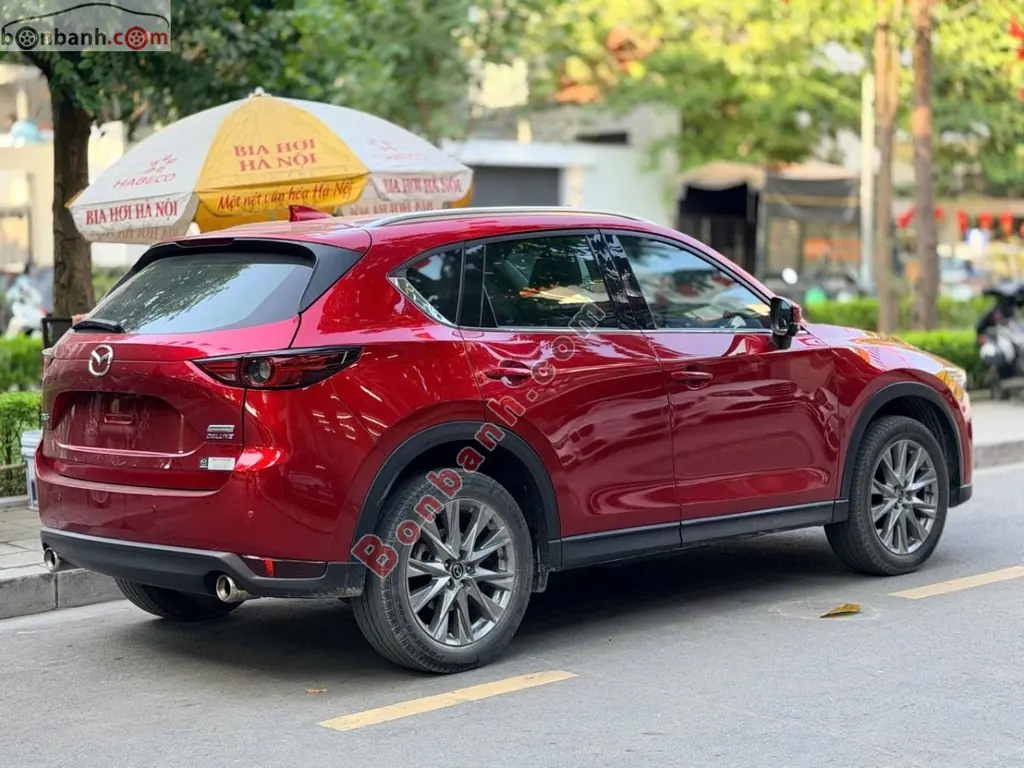 Hình ảnh số 3