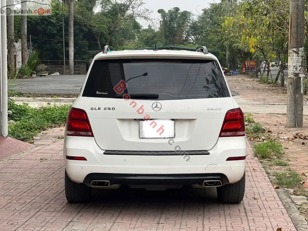 Hình ảnh số 2