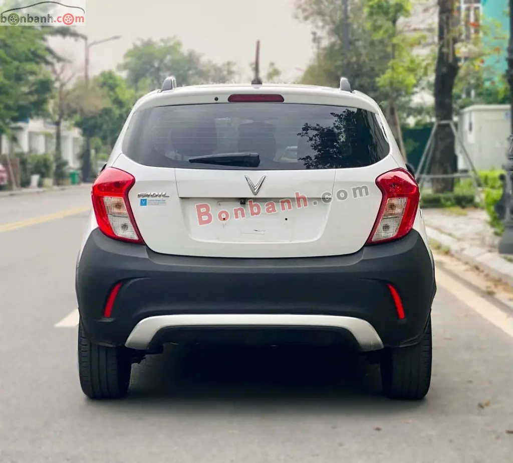 Hình ảnh số 3