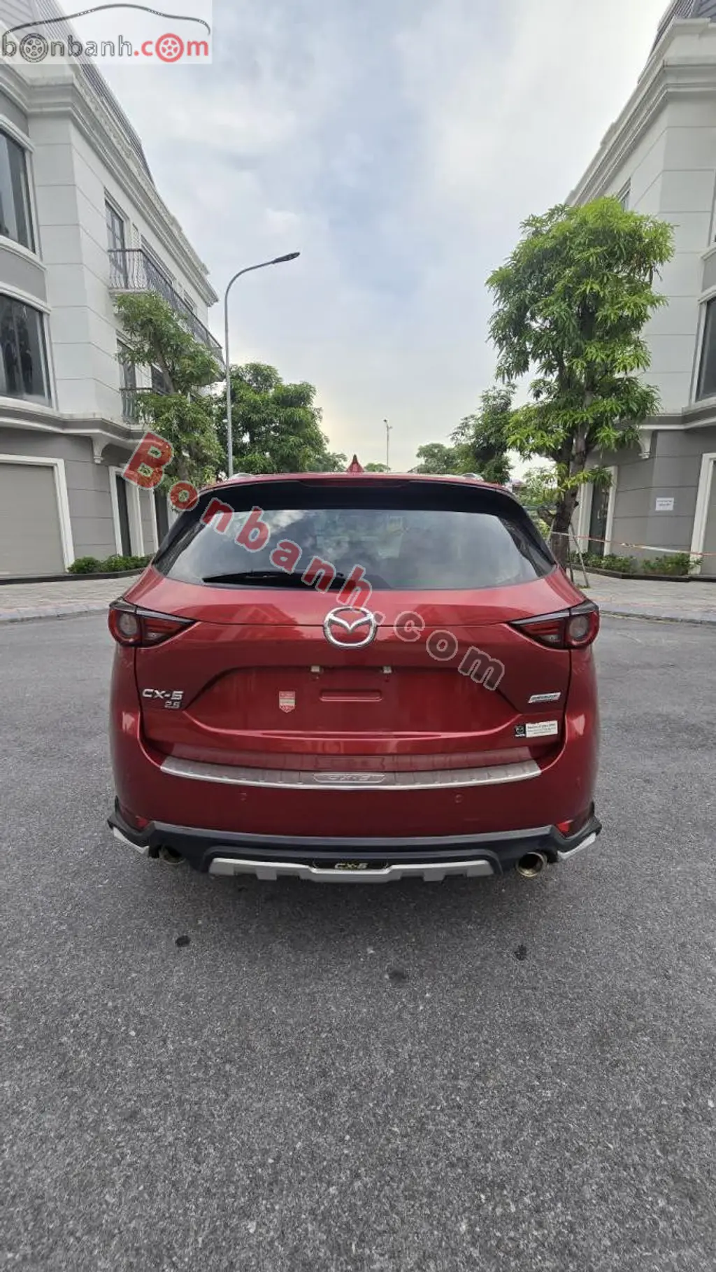 Hình ảnh số 5