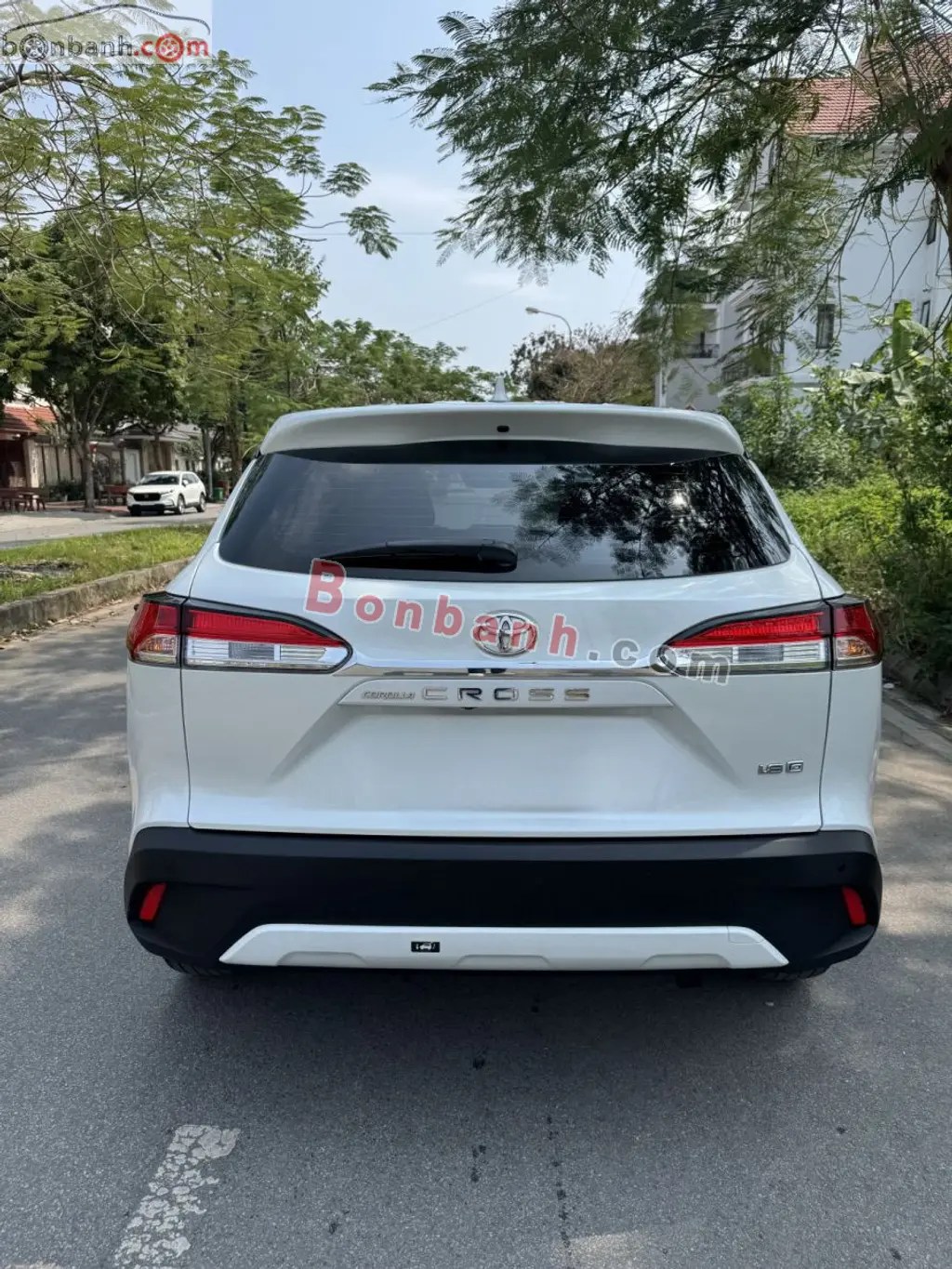 Hình ảnh số 2