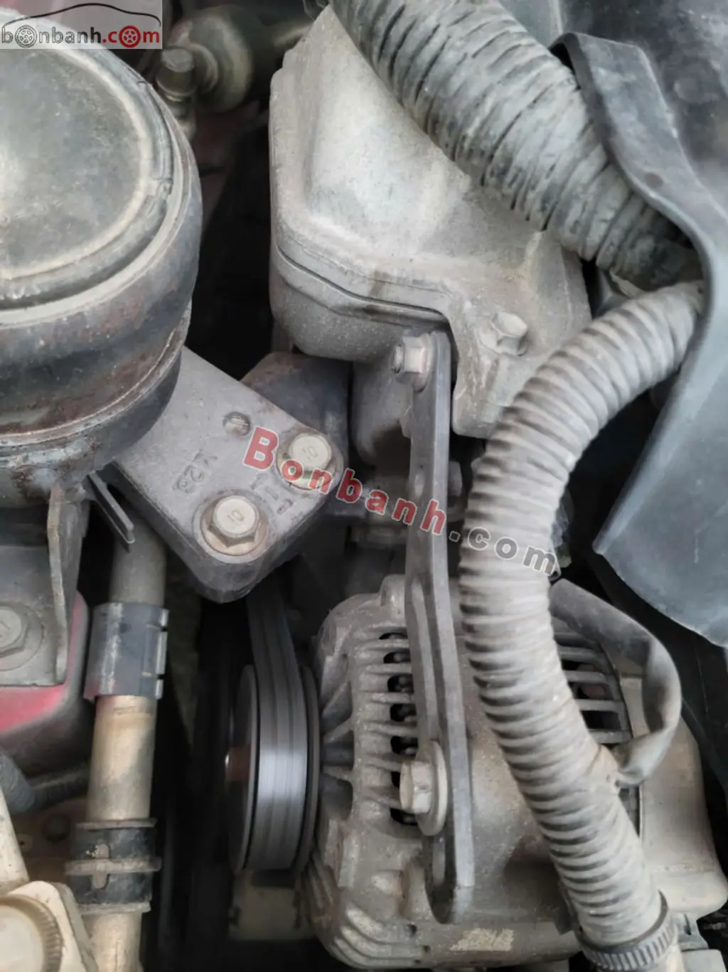 Hình ảnh số 10
