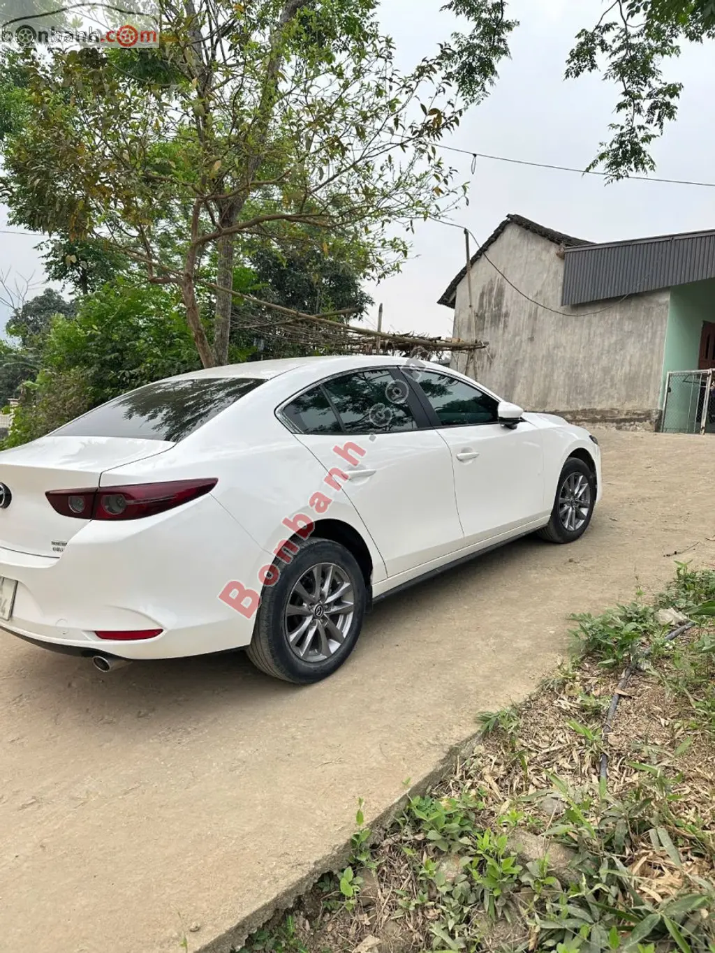 Hình ảnh số 4