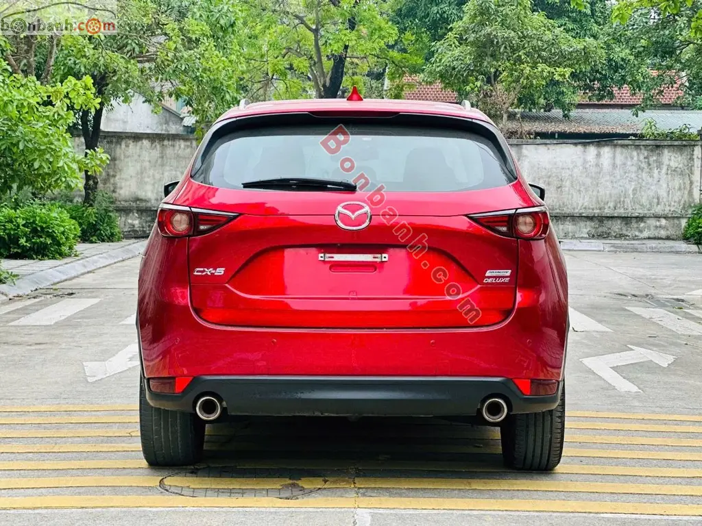 Hình ảnh số 5