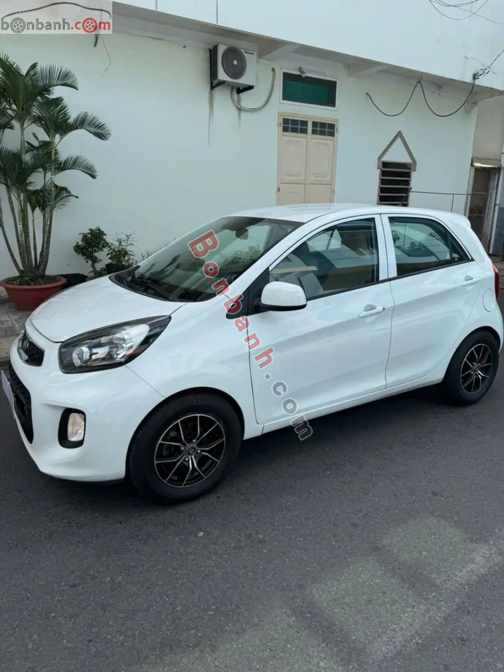 Hình ảnh số 2