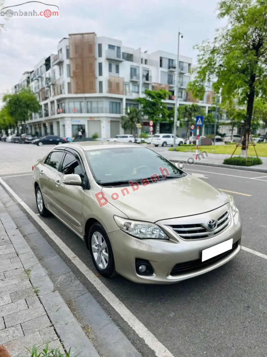 Hình ảnh số 3