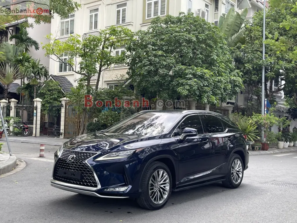 Hình ảnh số 2