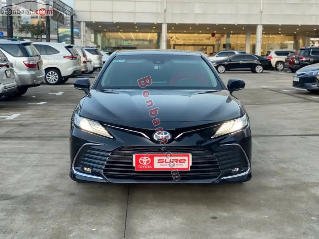 Hình ảnh số 2