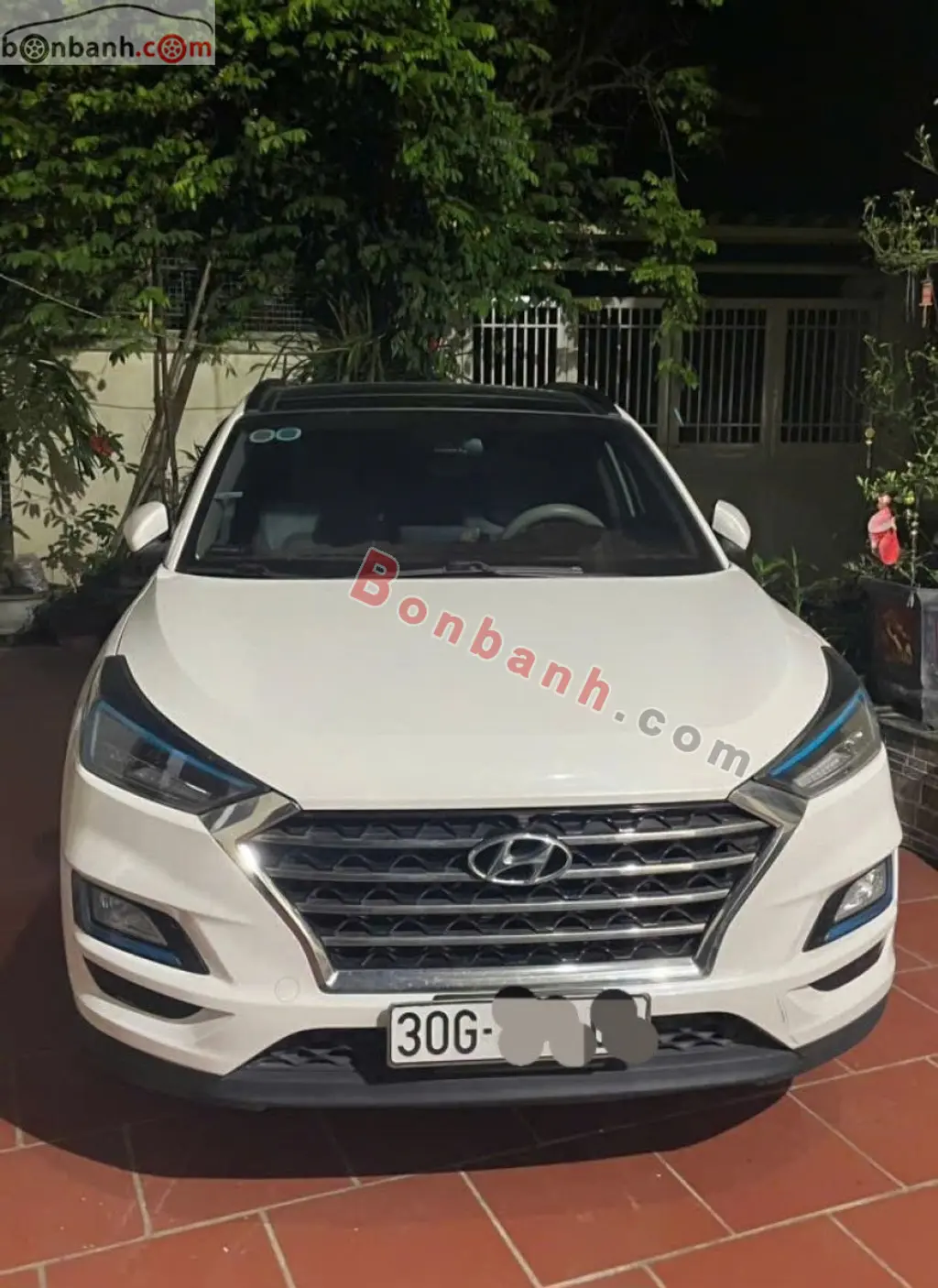 Hình ảnh số 2